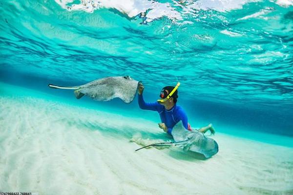 西安飞翔中考体育培训课程详解