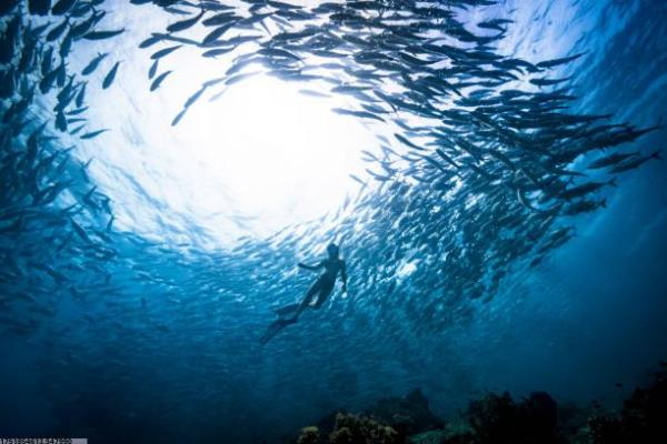 2021年最受欢迎体育技能培训项目