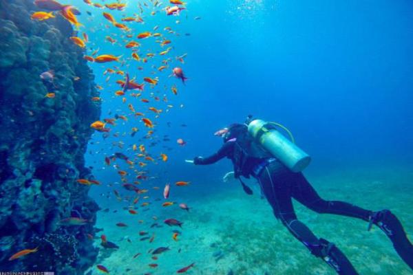 体育项目贷款成本与风险管理分析