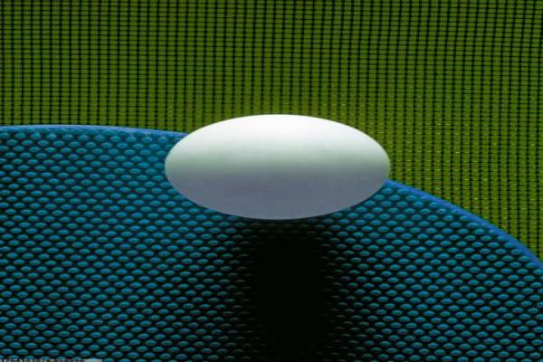 钟山地区常见体育项目及其特点